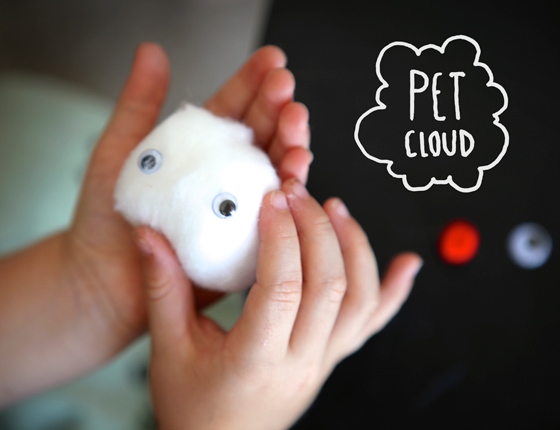 14 Rainy Day Inspired Projects to Make Pet Cloud