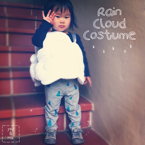 14 Rainy Day Inspired Projects to Make Rain Cloud Costume