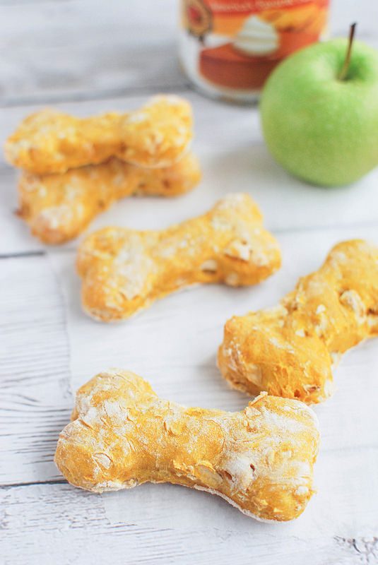 Pumpkin Apple Dog Treats