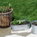 all-pots.jpg