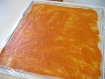 Apricot Leather Dried