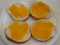 fish-sandwish-cheese.jpg