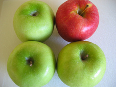 4apples-051.jpg