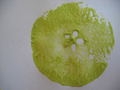apple-prints-green.jpg