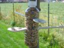 bird-feeder-tree-1blog-102.jpg
