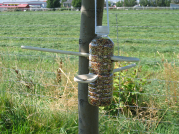 plastic bottle, yarn, razor blade, funnel, wooden spoons, and bird 