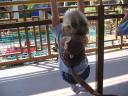 lucy-monkey.jpg