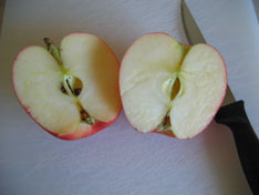 apples-science-cut.jpg