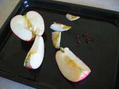 apples-science-tray.jpg