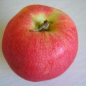 apples-science-whole.jpg