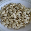 pumpkin-seeds-front-050.jpg