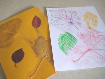 front-leaf-rubbings-077.jpg