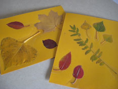 leaves-leaf-rubbings-086.jpg