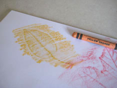 orange-crayon-leaf-rubbings-074.jpg