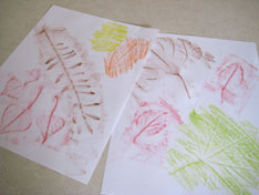 rubbed-paper-leaf-rubbings-088.jpg