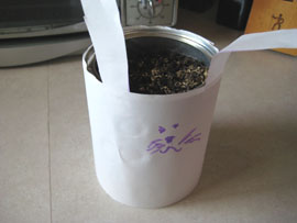 bunny-container-easter-083.jpg