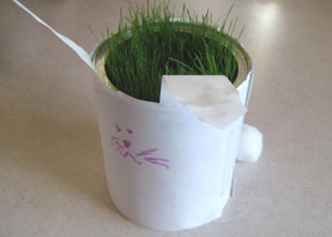 bunny-march-058.jpg