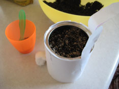 fill-bunny-dirt-easter-080.jpg