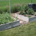 garden-