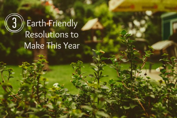 3 Earth-Friendly Resolutions to Make This Year