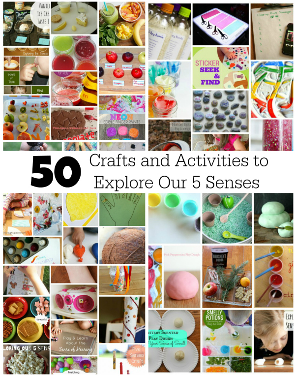 50 Crafts and Activities to Explore Our 5 Senses