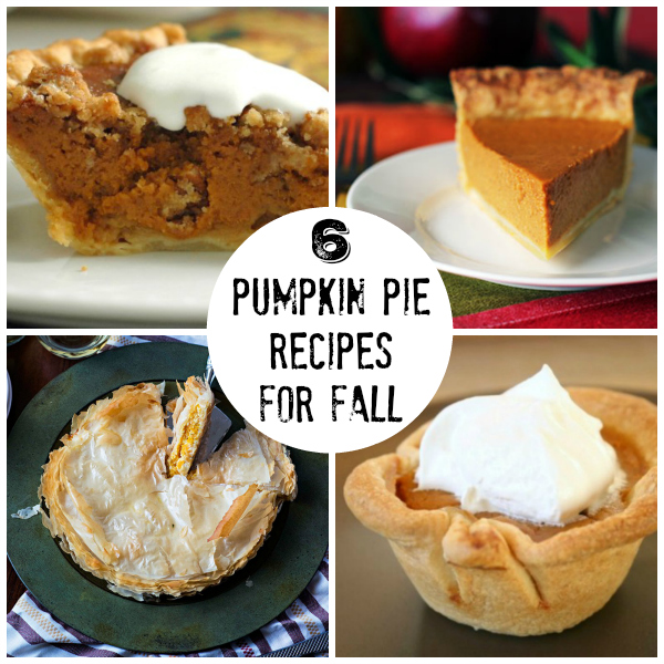 6 Pumpkin Pie Recipes for Fall