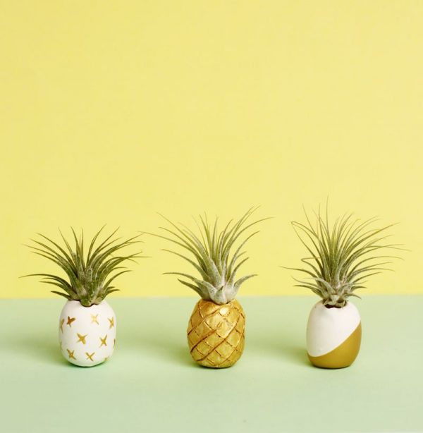 DIY Clay Air Plant Holders