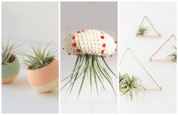 DIY Air Plant Hangers - Homey Oh My