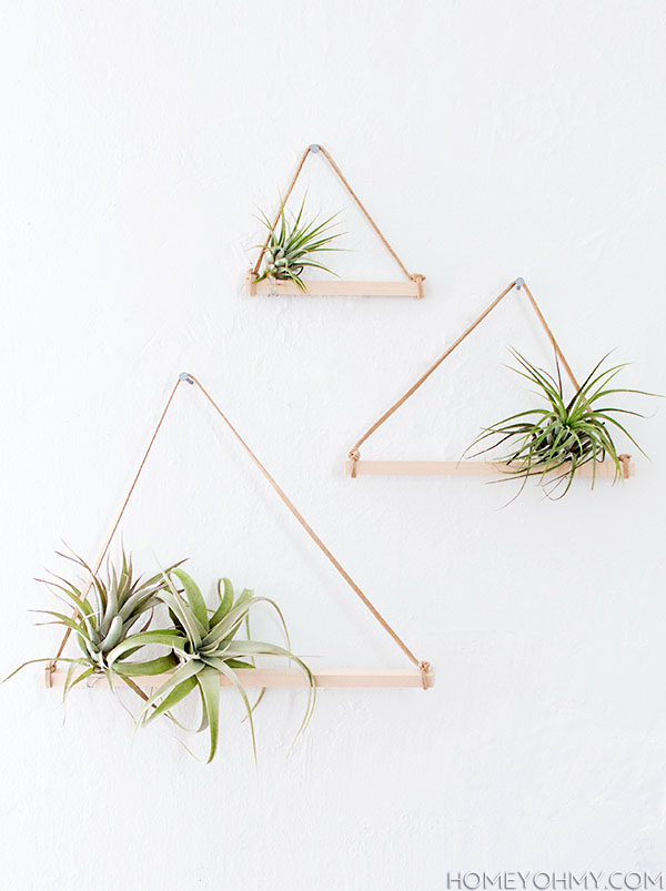 DIY Air Plant Hangers