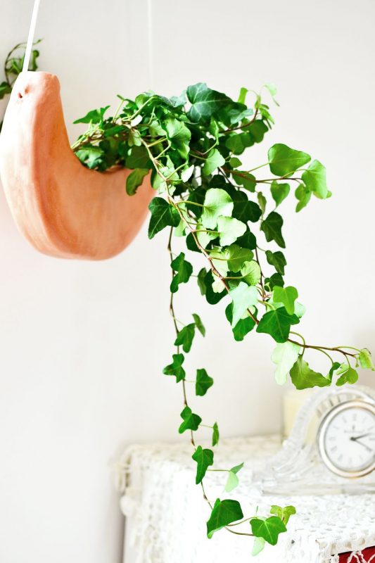 DIY Crescent Moon Hanging Planter