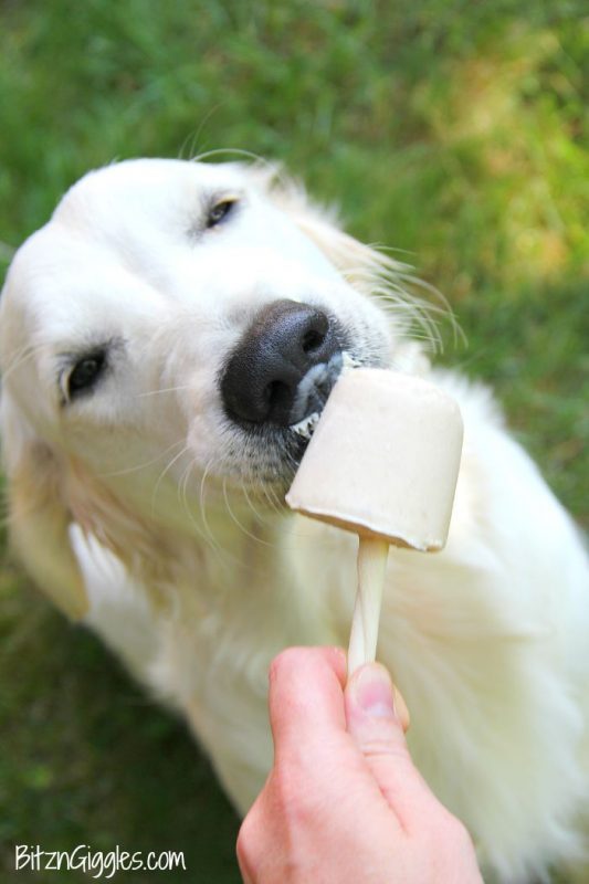 Banana Pup Pops