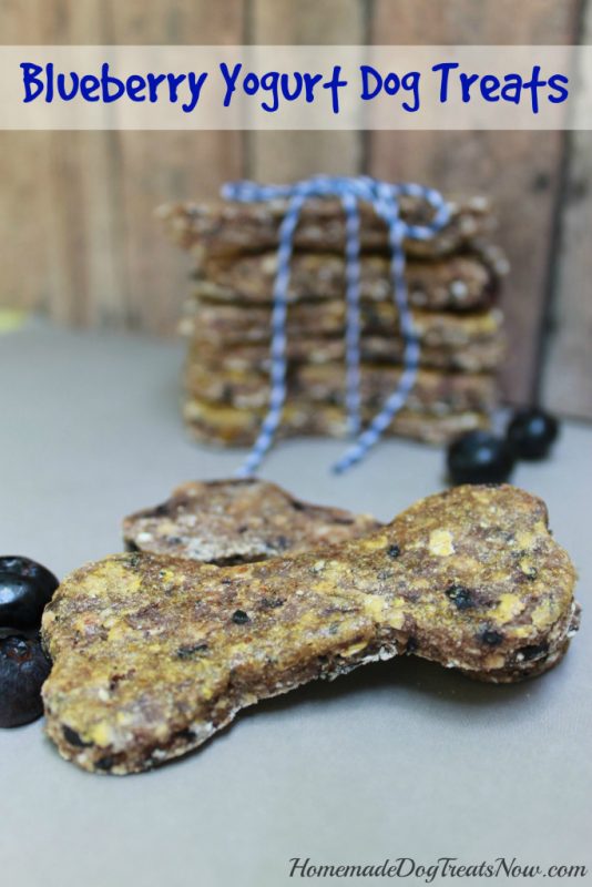 Blueberry Dog Treats