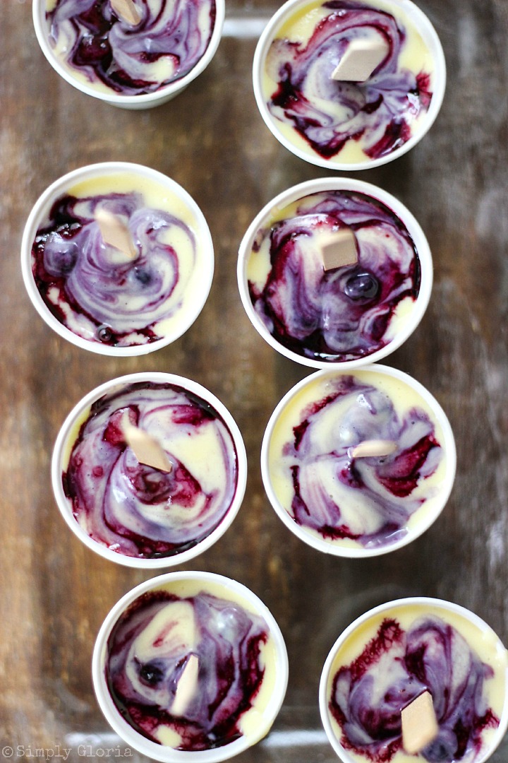 Blueberry Frozen Custard Pops