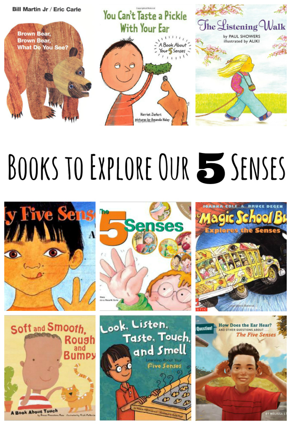 Book Picks for Exploring Our 5 Senses