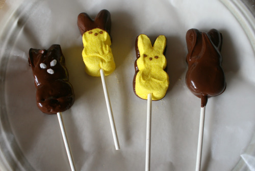 Chocolate Covered Easter Peeps on a Stick