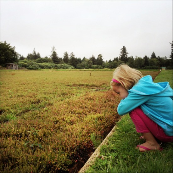 Cranberry Museum