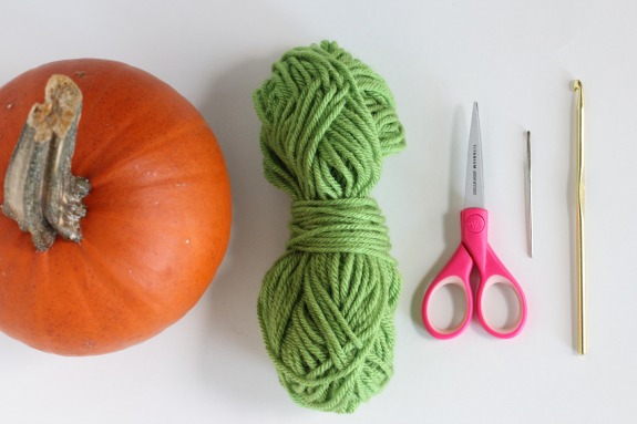 Crochet Supplies for Pumpkin Stem Cozy