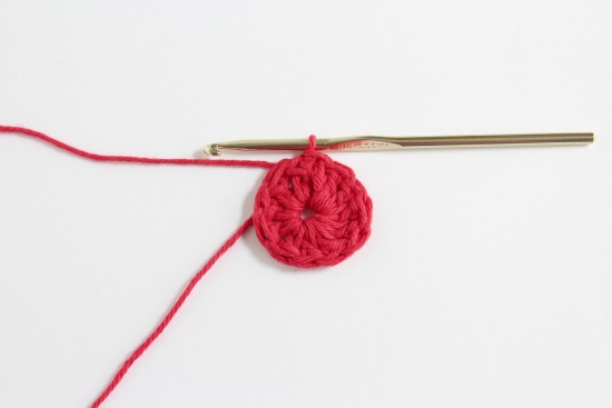 Crocheting 12 double crochet stitches in a round