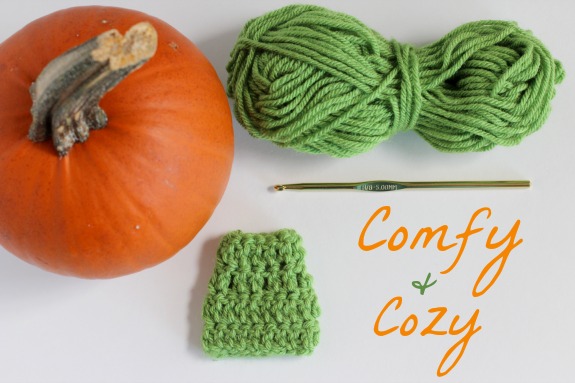 Crocheting a Cozy for a Pumpkin Stem