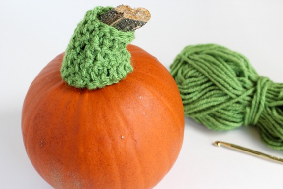 Cute Pumpkin Stem Crochet Cozy