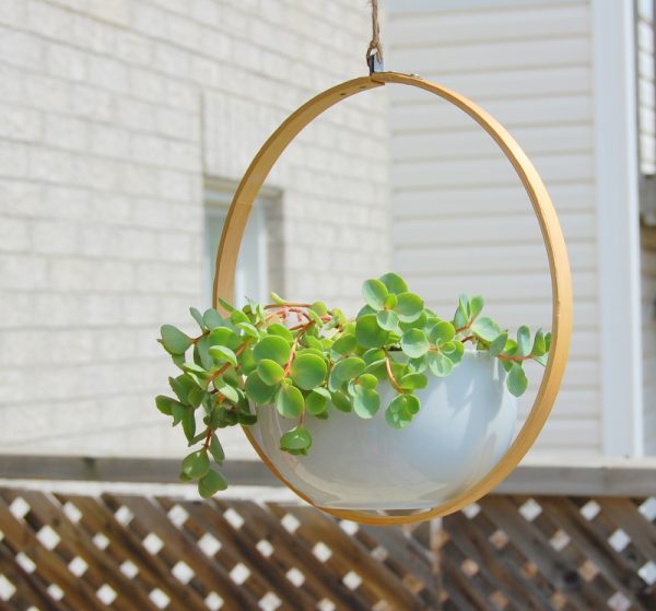 DIY Modern Hanging Planter