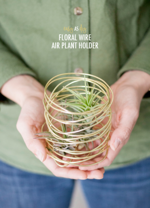 Floral Wire Air Plant Holder: