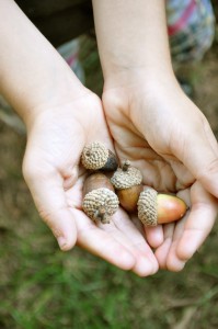 Acorns For Fall Centerpiece