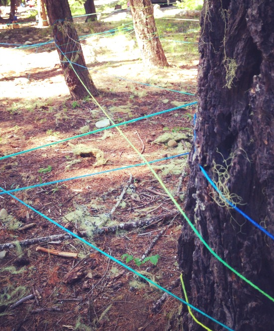 Giant Yarn Spider Web in the Woods