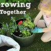 Growing and Planting a Garden with Kids