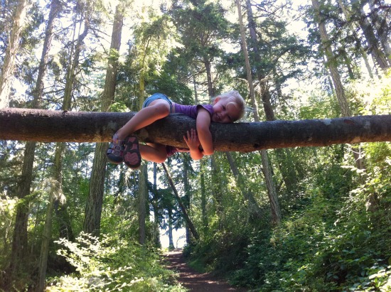 Hanging from a tree