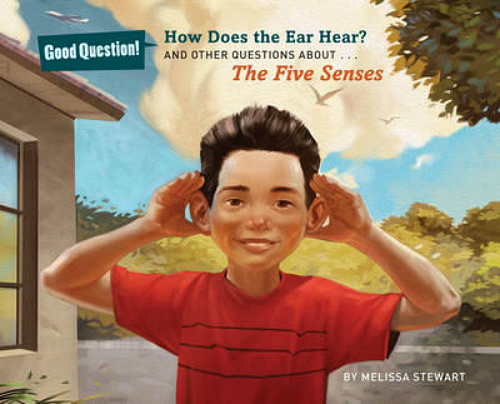 How Does the Ear Hear by Melissa Stewart