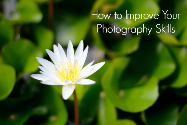 How to Improve Your Photography Skills