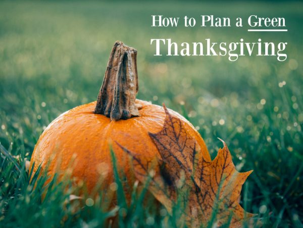 How to Plan a Green Thanksgiving