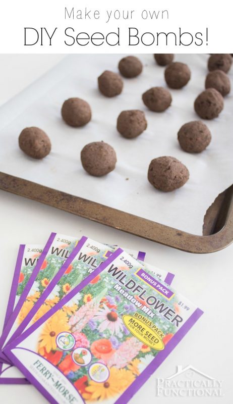 How To Make Seed Bombs